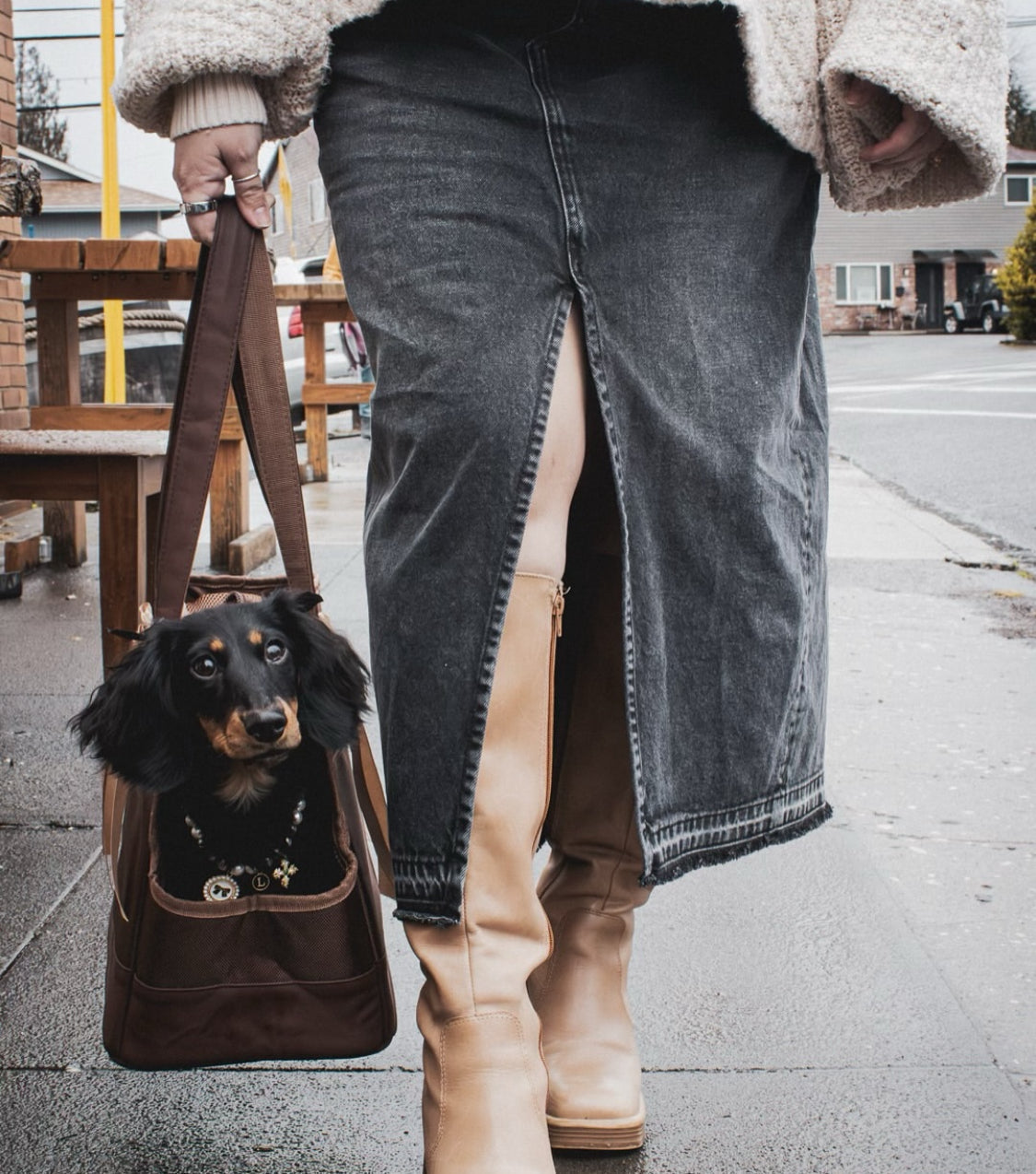 Chocolate Brown Pet Tote Bag | Rich Earth Tone Carrier