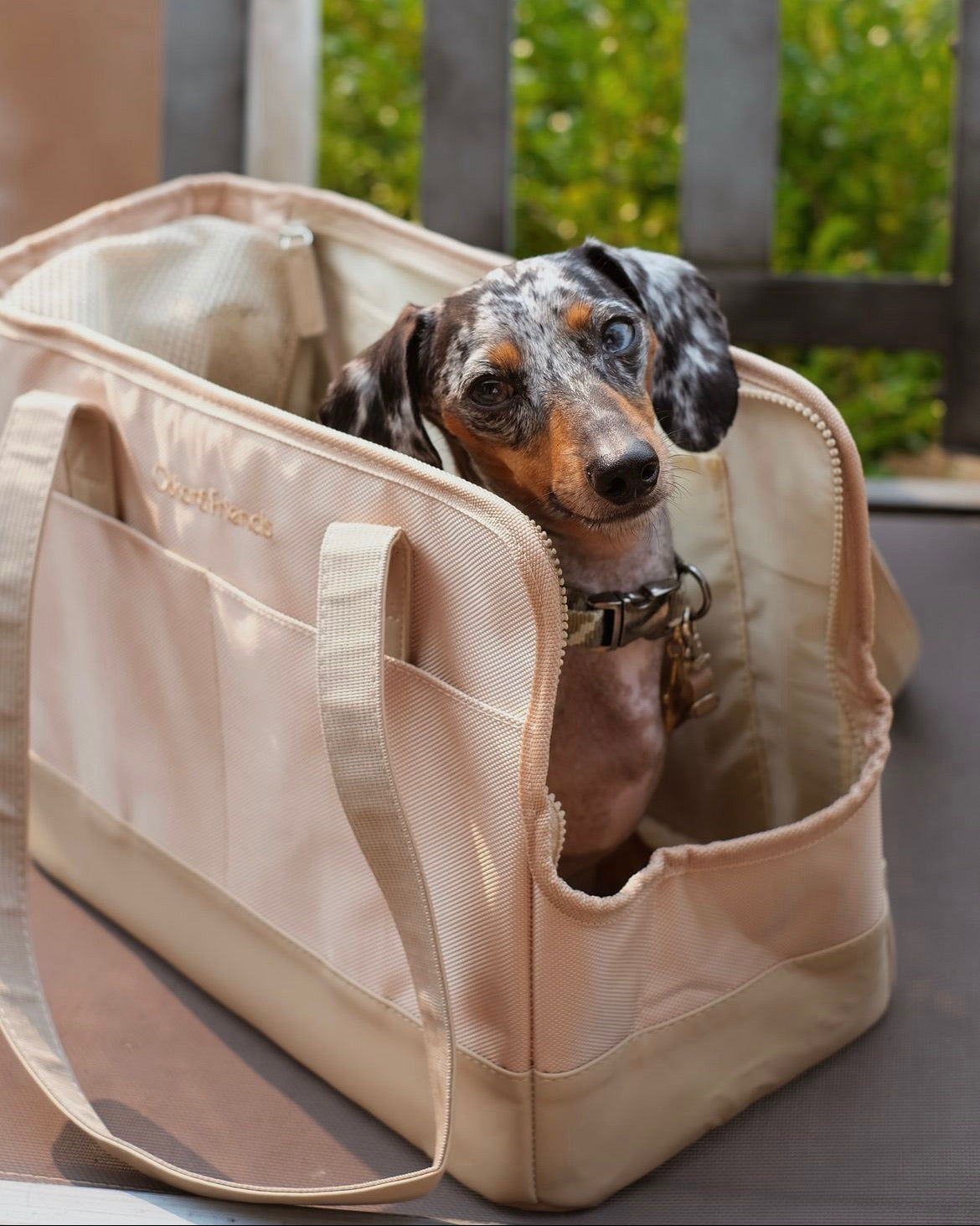Beige Pet Tote Bag | Timeless Neutral Carrier