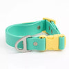 Aria the Fox Island Vibes Waterproof Dog Collar | Teal & Yellow
