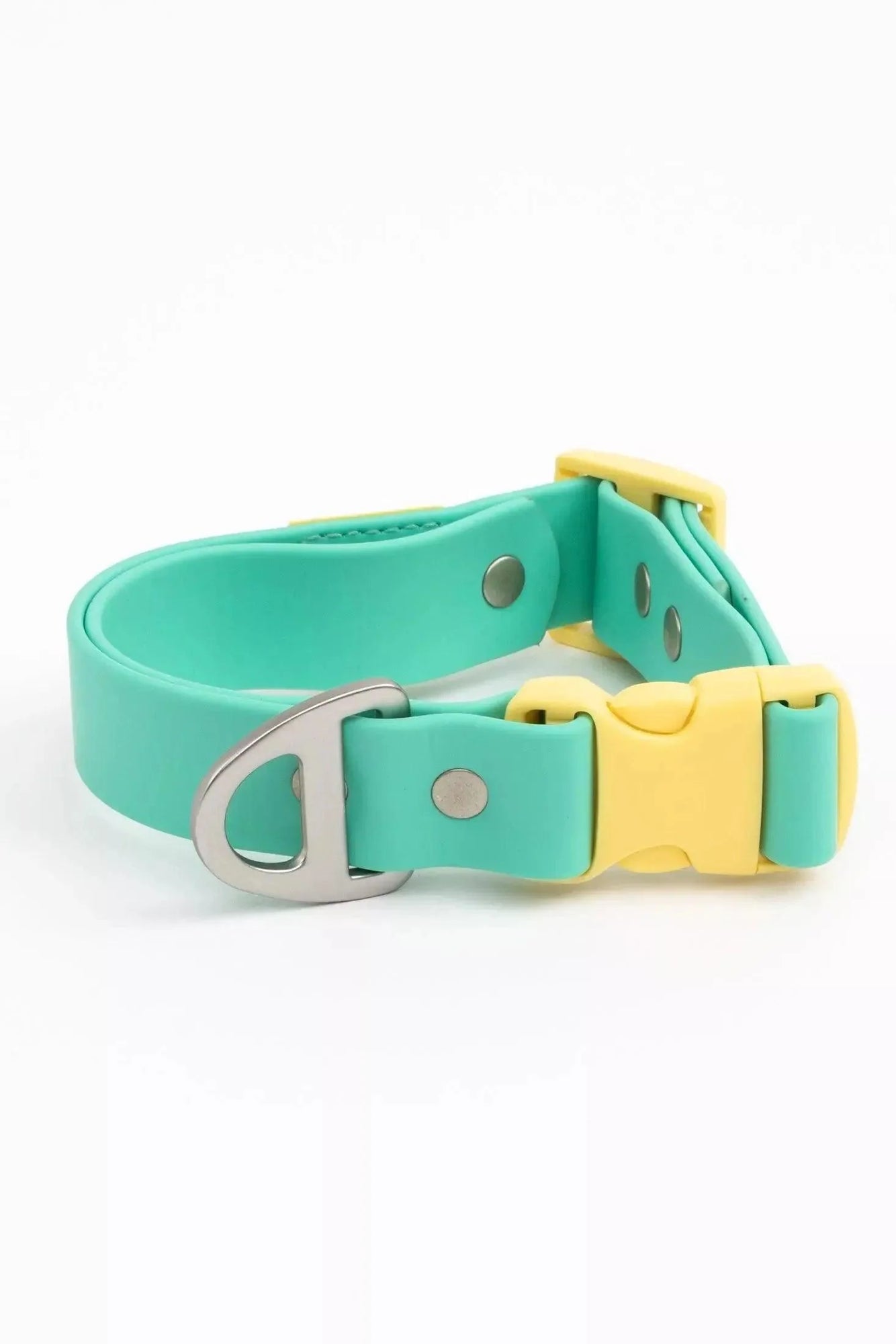 Aria the Fox Island Vibes Waterproof Dog Collar | Teal & Yellow