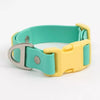 Aria the Fox Island Vibes Waterproof Dog Collar | Teal & Yellow