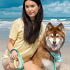 Aria the Fox Island Vibes Waterproof Dog Collar | Teal & Yellow
