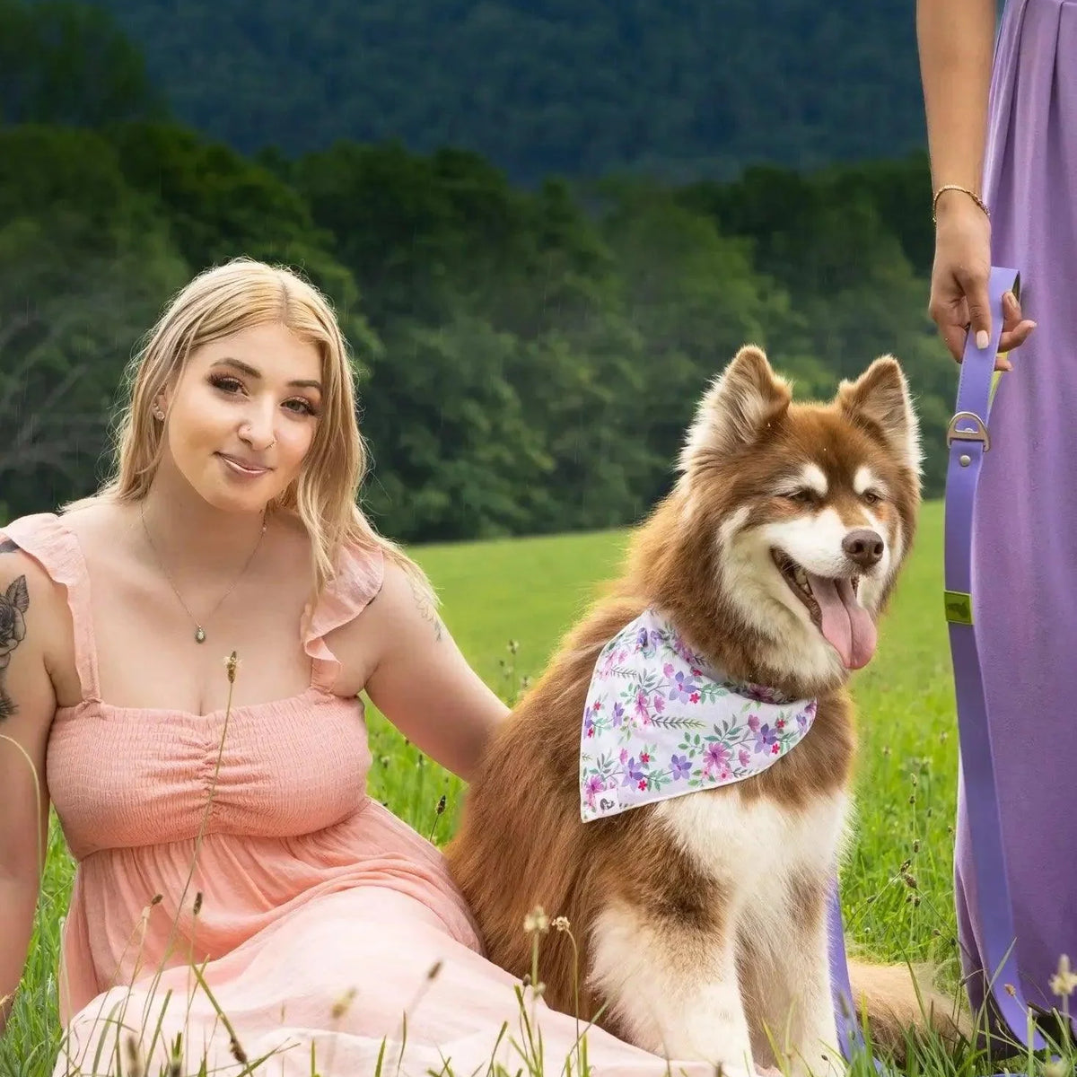 Aria the Fox Lavender Garden Waterproof Dog Leash | Soft Purple