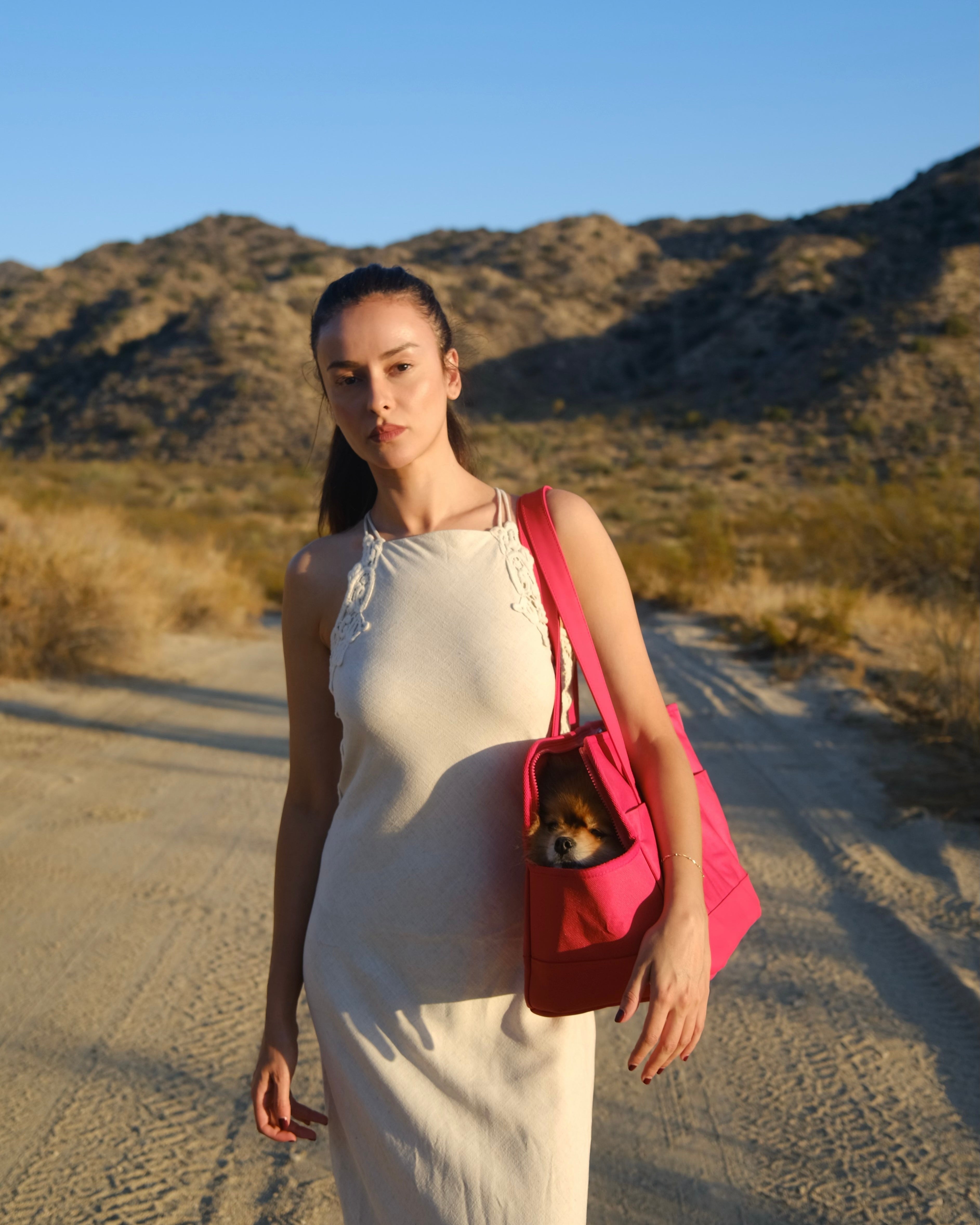 Rouge Berry Pet Tote | Stylish Red Dog Carrier