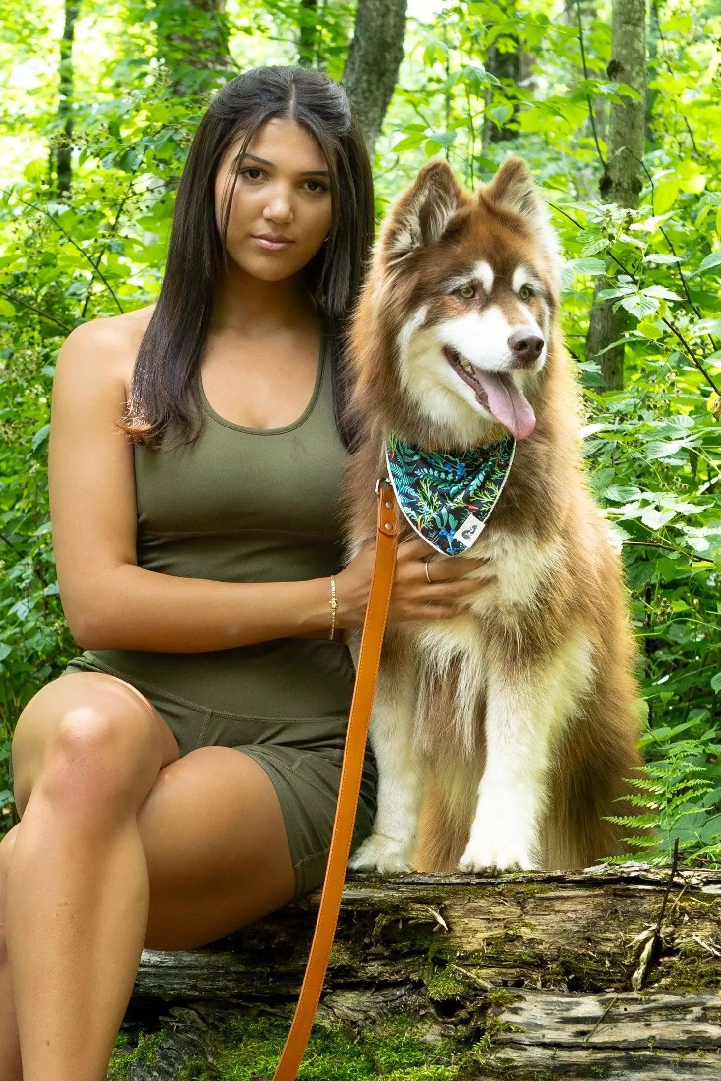 Aria the Fox Sierra Sunrise Vegan Leather Dog Collar | Warm Earth Tone