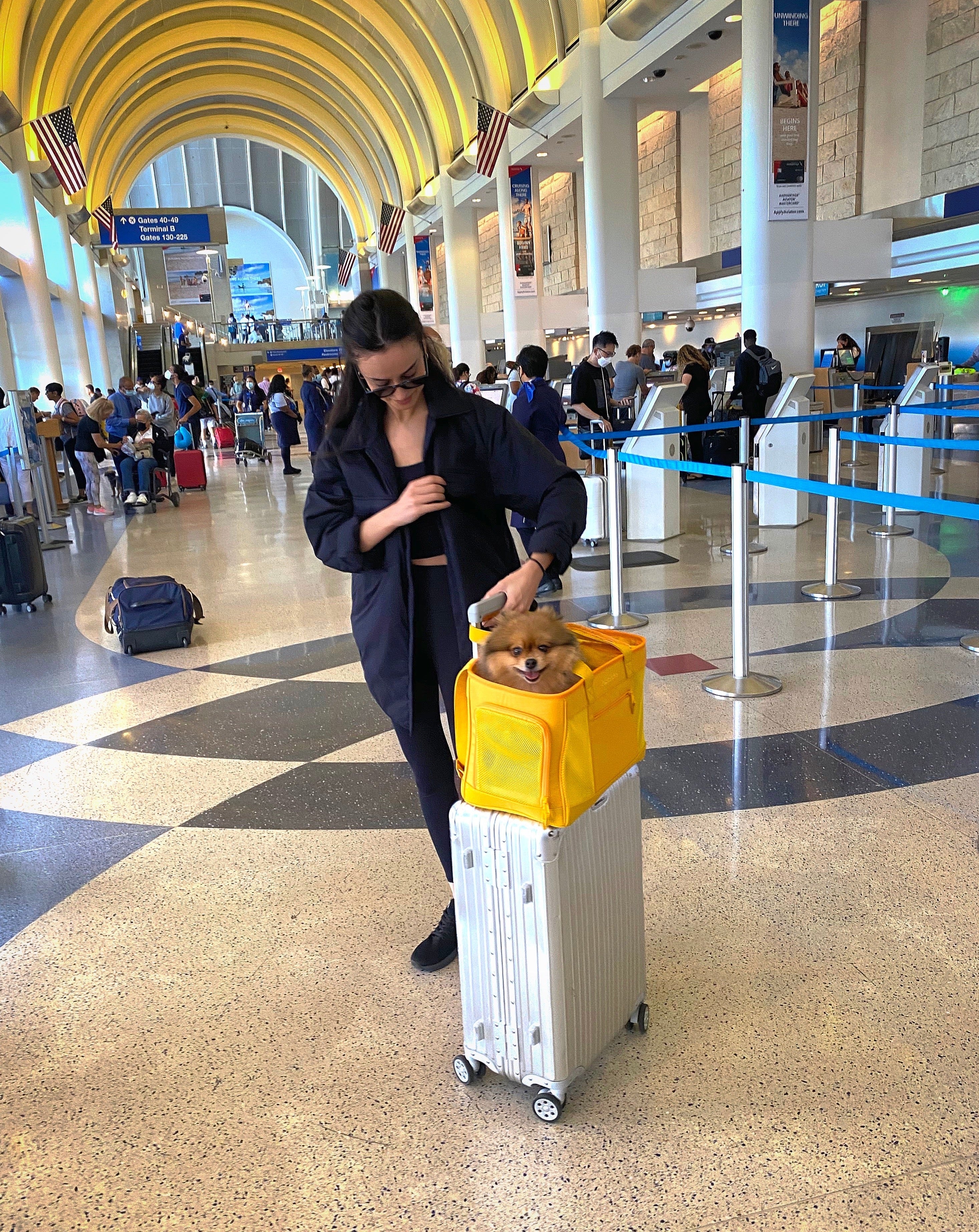 Sunburst Yellow Pet Travel Carrier | High-Visibility Dog Bag