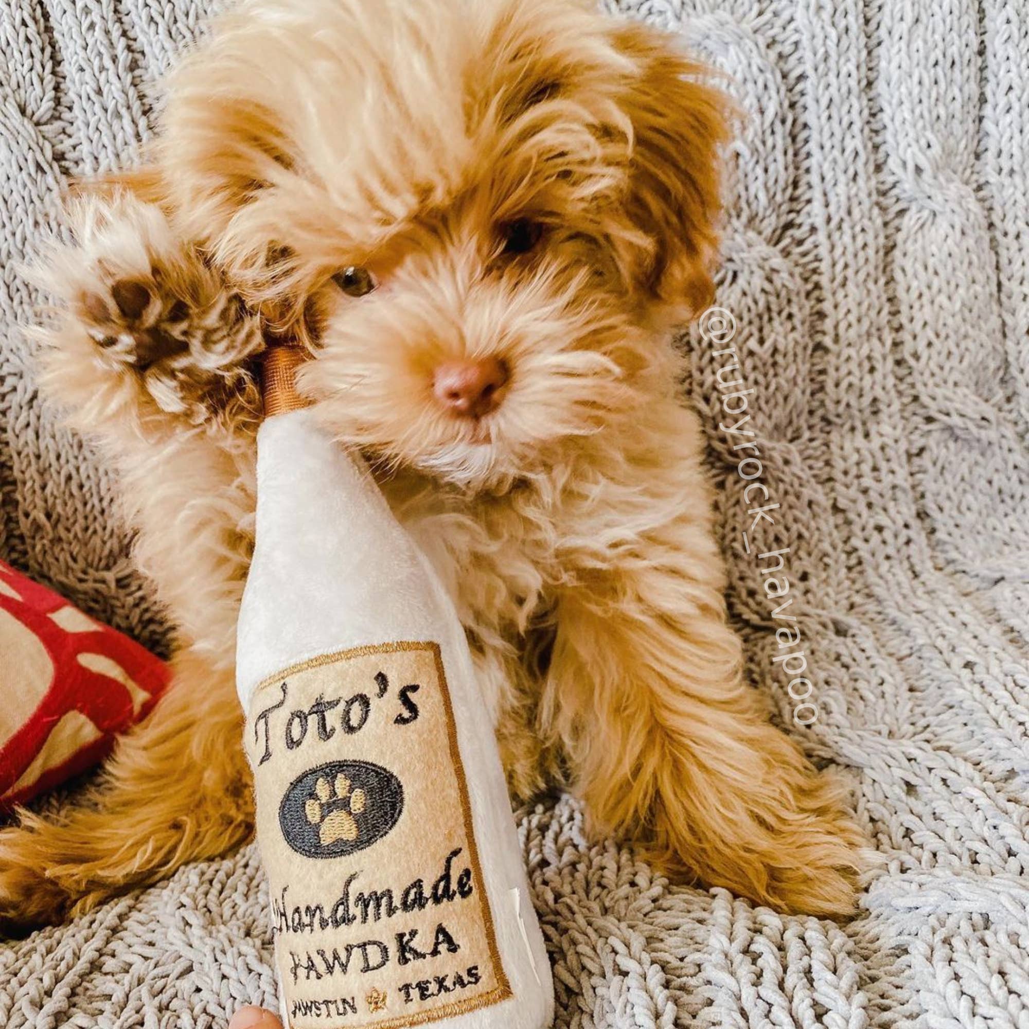 Toto’s Pawdka (Small)