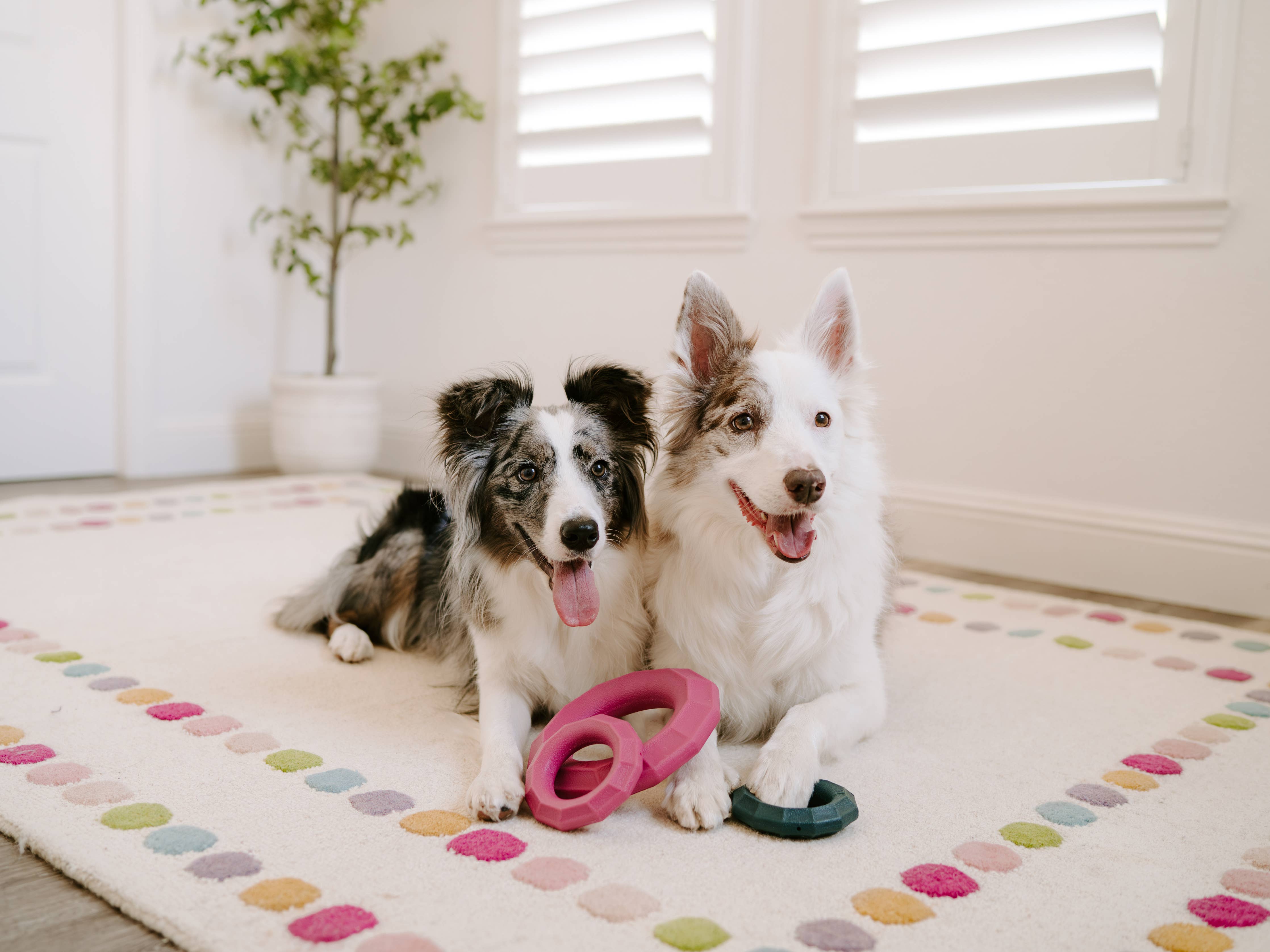 ZippyTuff+ Magenta Ring | Heavy Duty Chew Toy