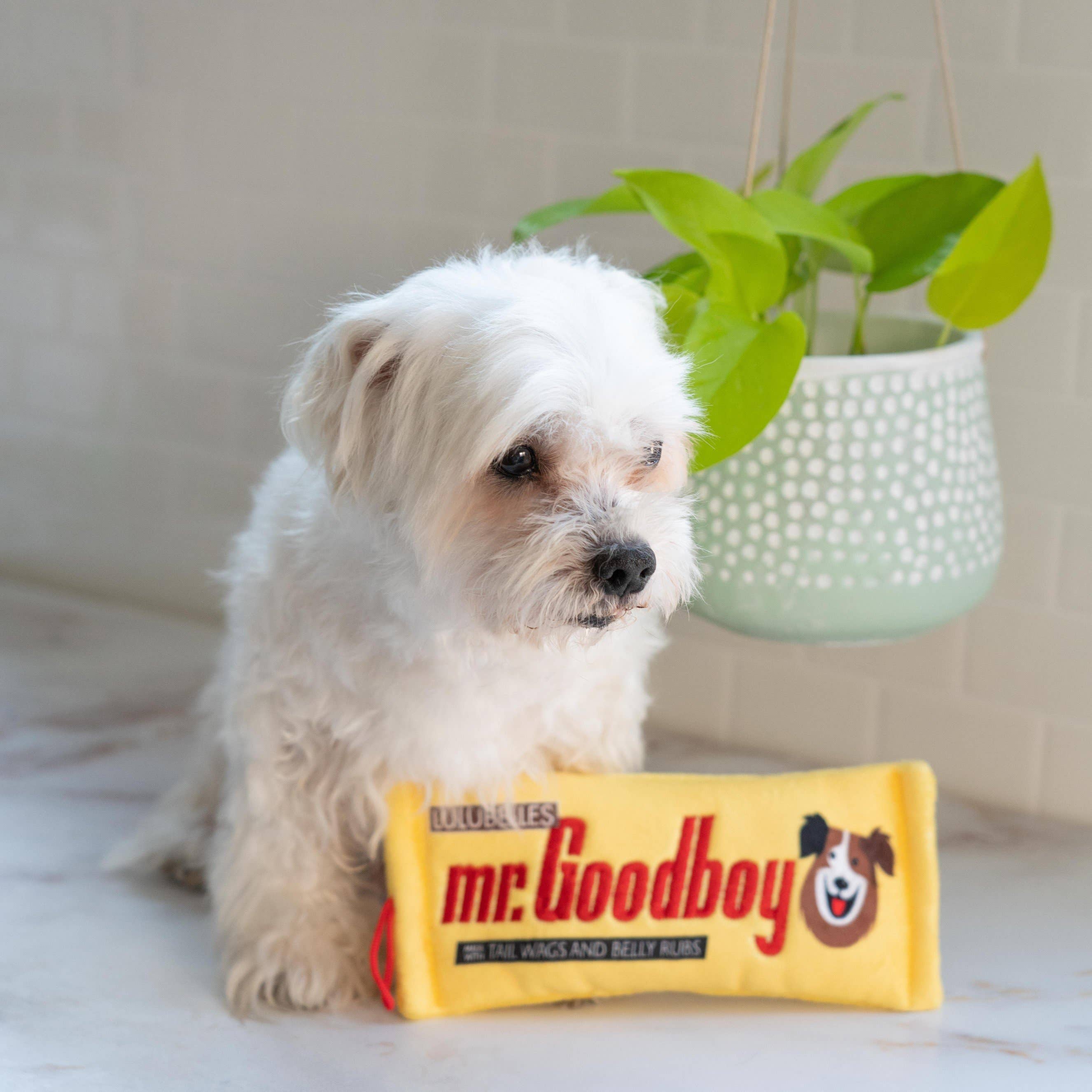 Mr. Goodboy Stuffless Dog Toy – Small Chocolate Bar Parody Toy