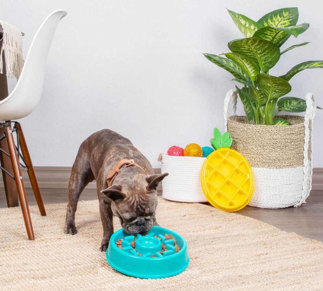 ZippyPaws Happy Bowl Donut | Slow Feeder Dog Bowl