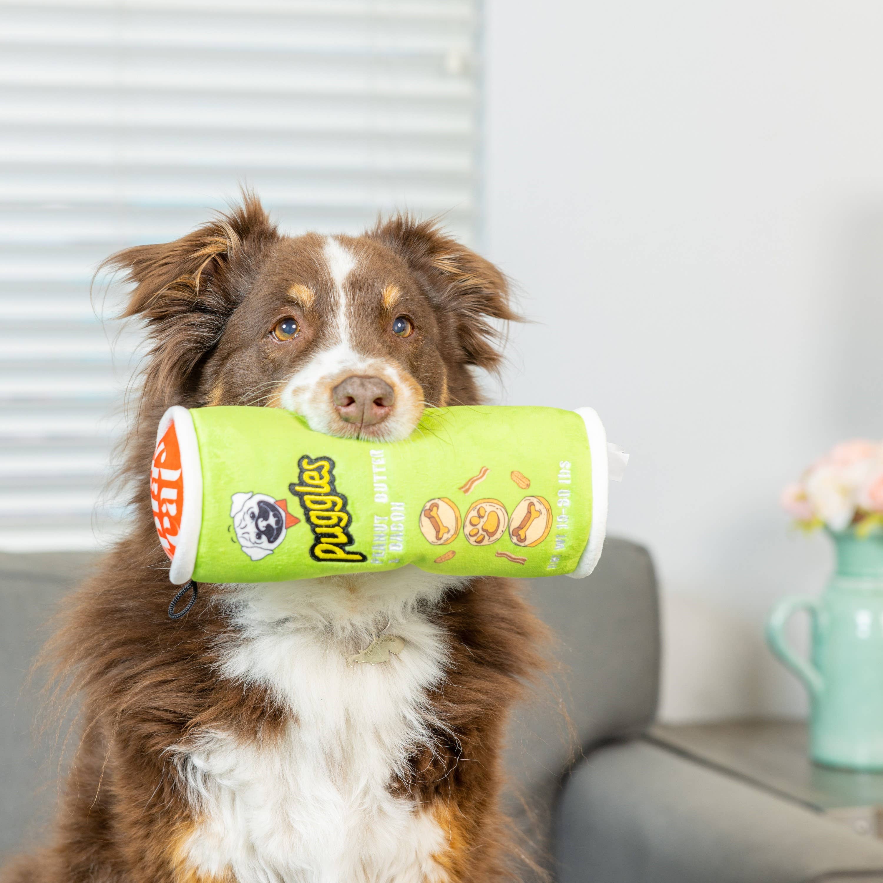 Puggles Can Large Dog Toy – Potato Chip Parody Plush Squeaker