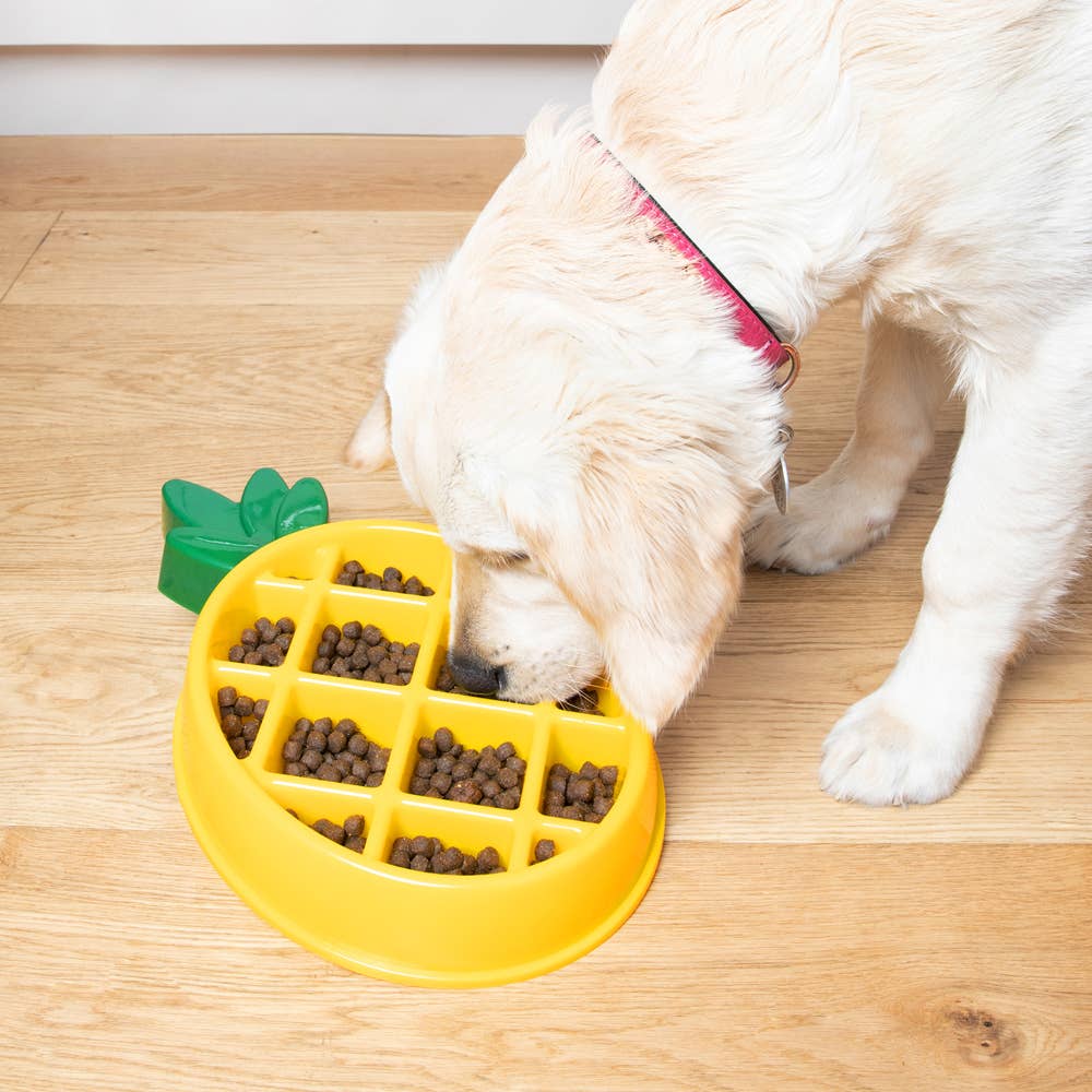 ZippyPaws Happy Bowl Pineapple | Slow Feeder Dog Bowl