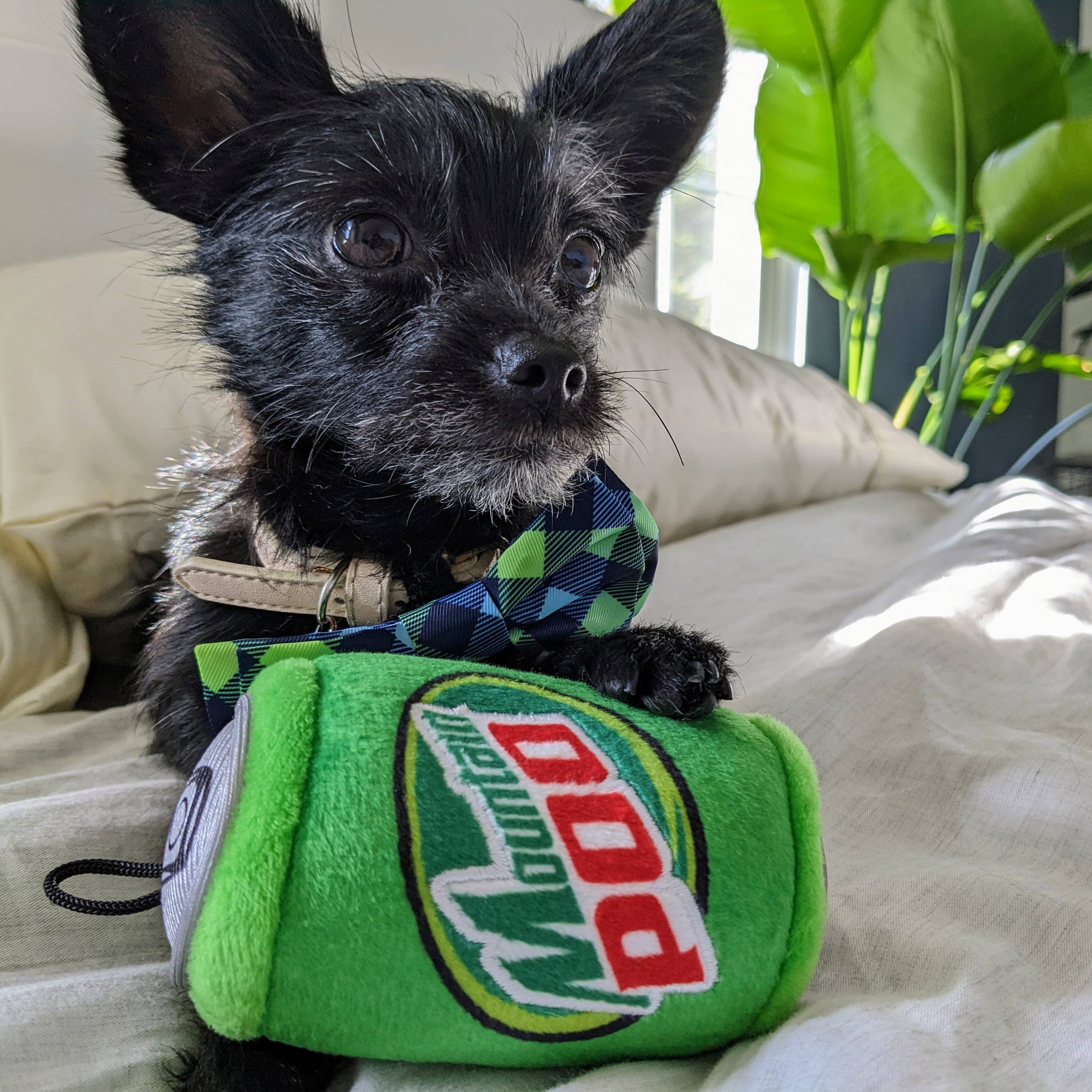 Mountain Poo Small Dog Toy – Plush Citrus Soda Parody