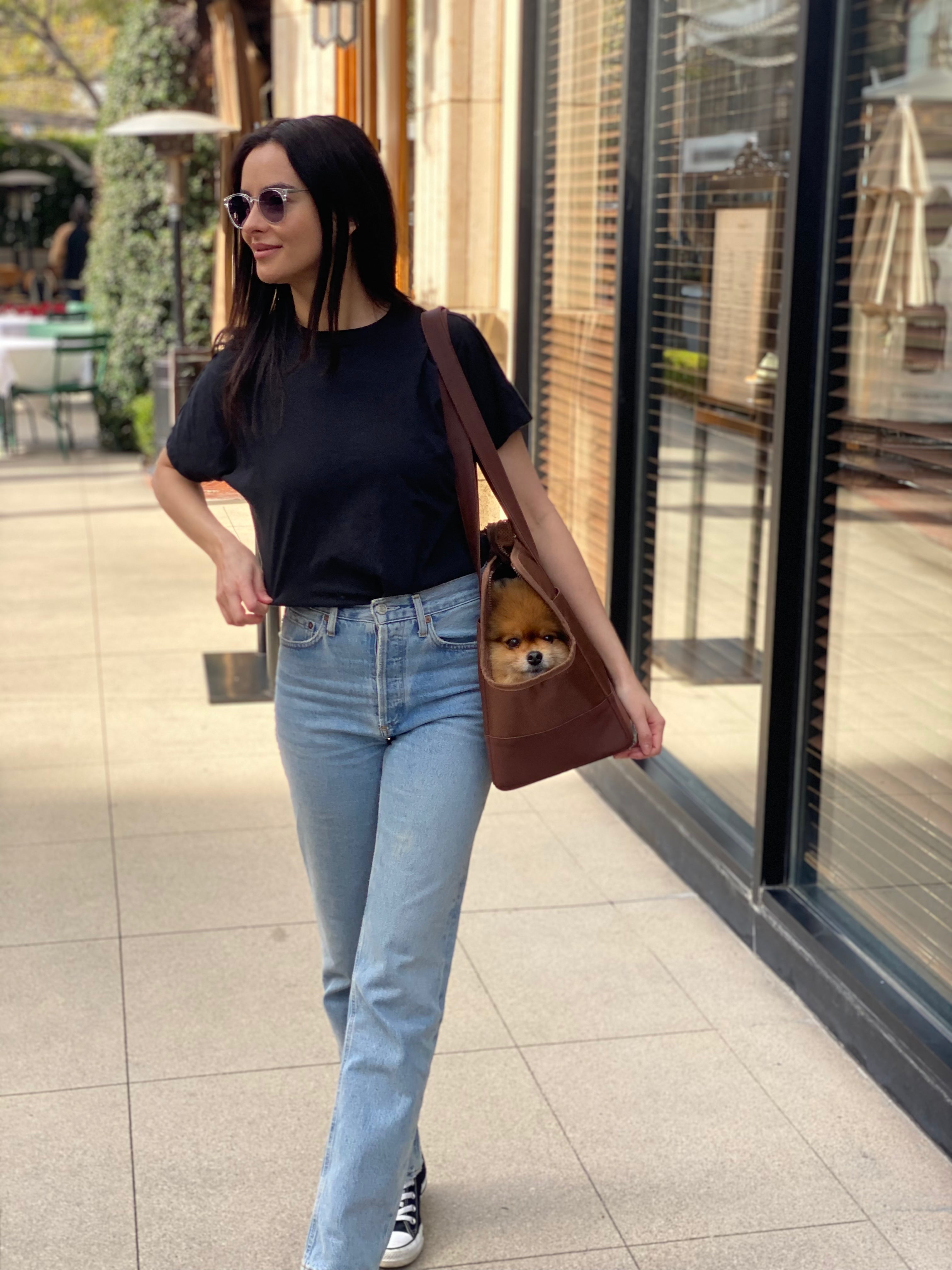 Chocolate Brown Pet Tote Bag | Rich Earth Tone Carrier