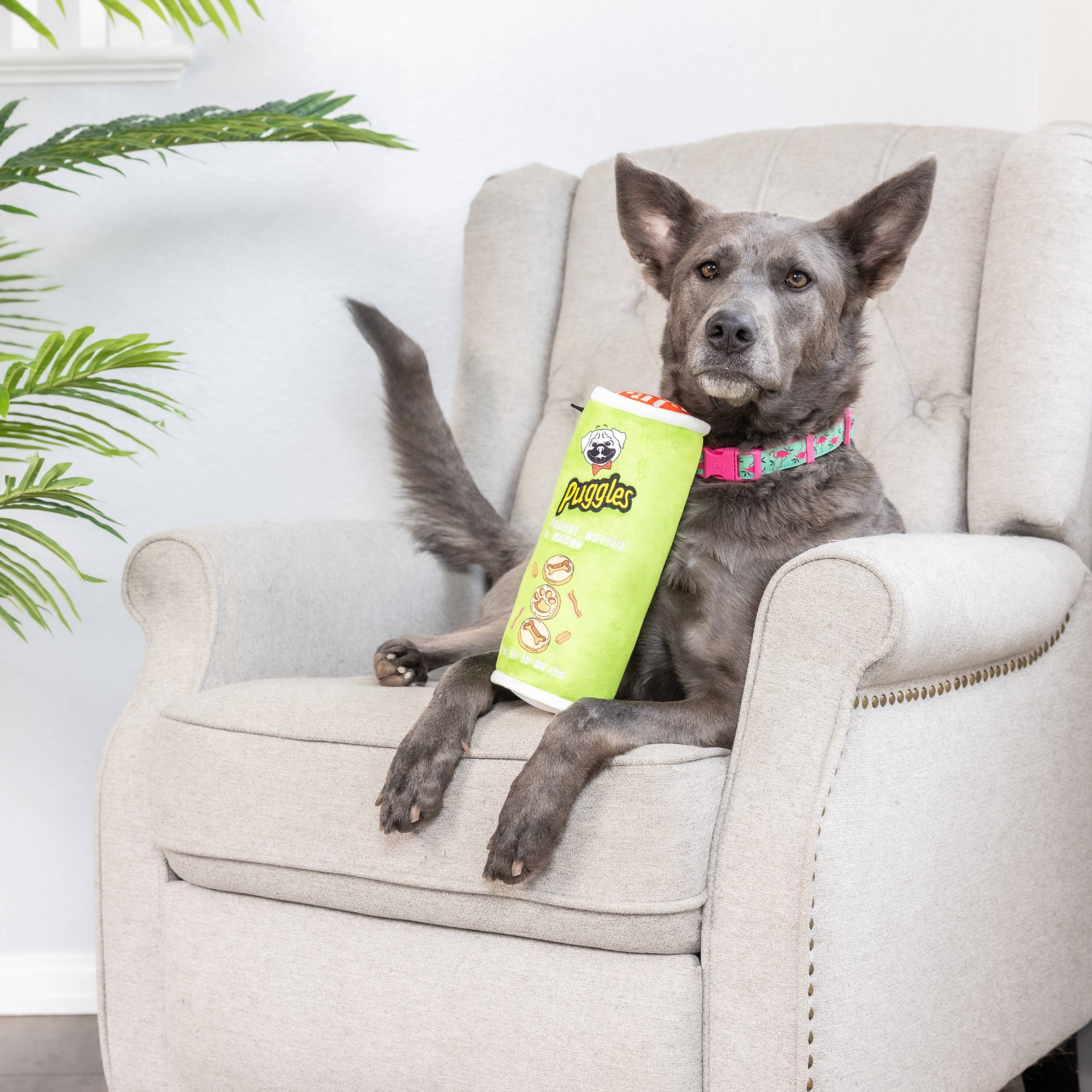 Puggles Can Large Dog Toy – Potato Chip Parody Plush Squeaker