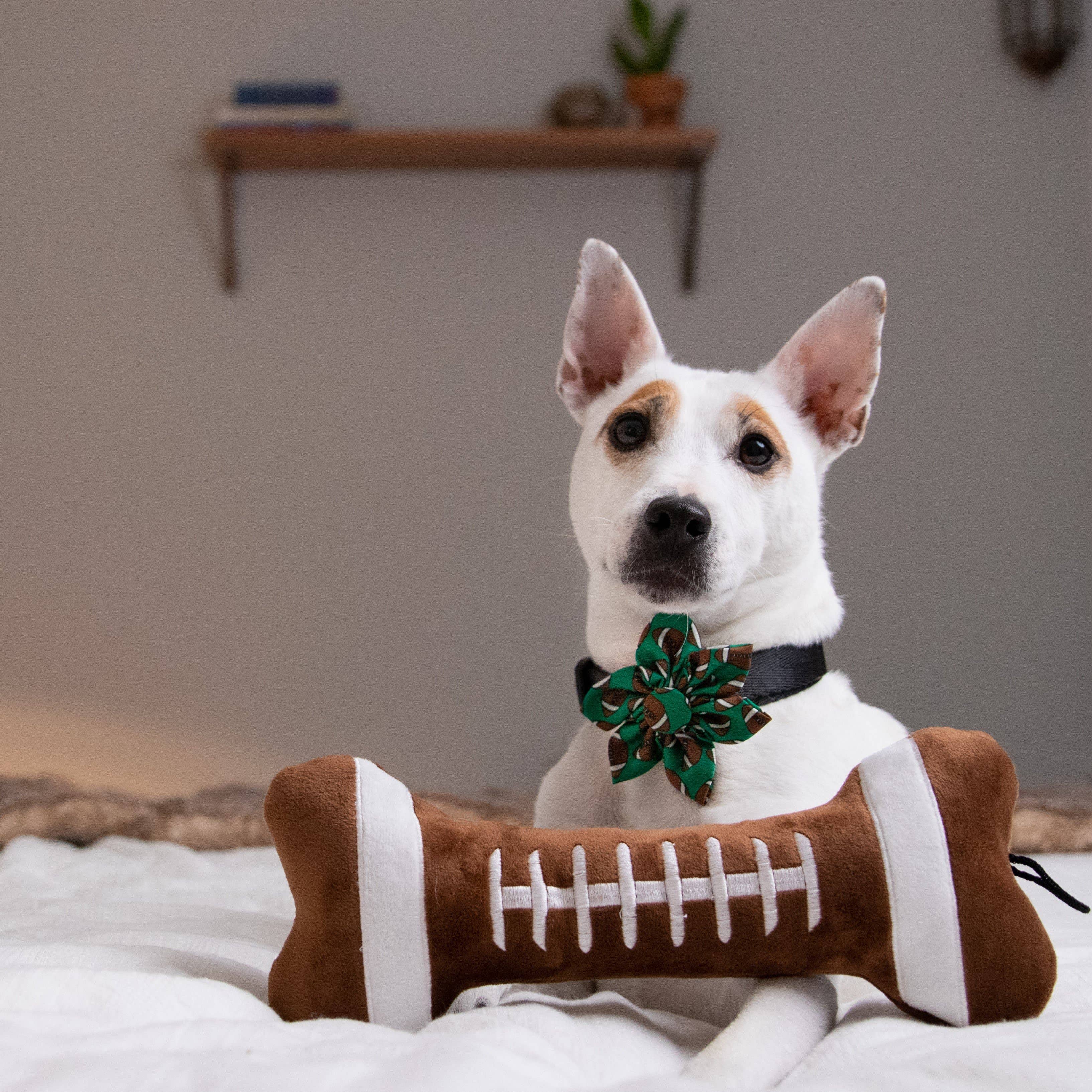 Football Bone Small Dog Toy – Plush Sport Squeaker