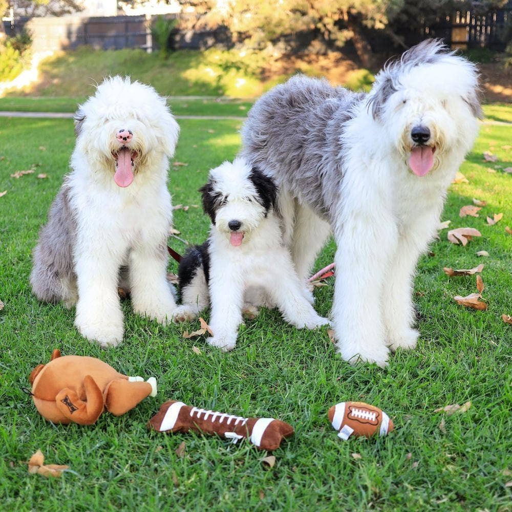 Football Bone Large Dog Toy – Big Sport Plush With Squeaker