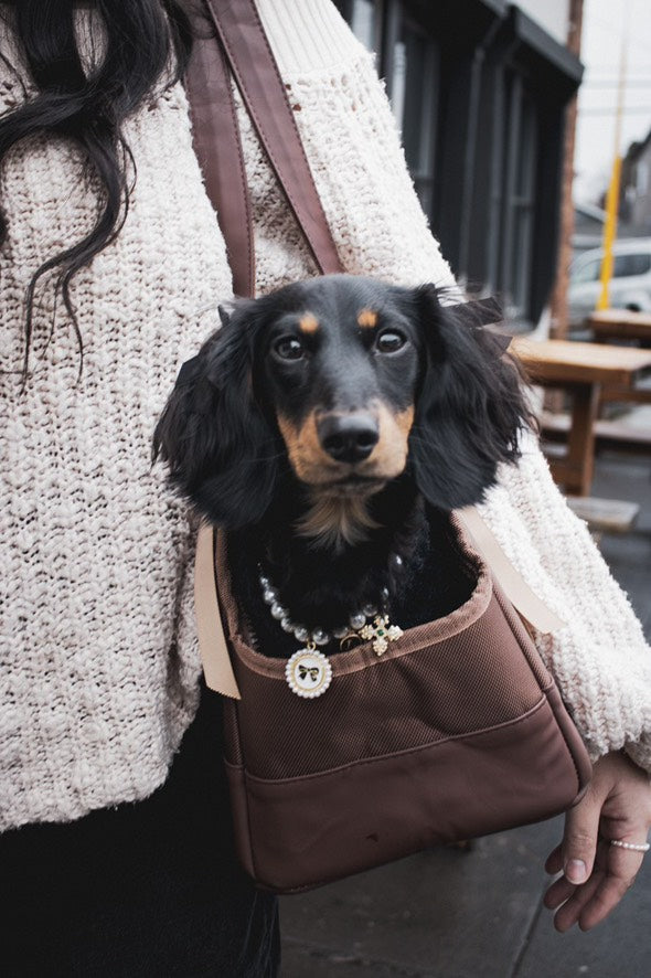 Chocolate Brown Pet Tote Bag | Rich Earth Tone Carrier